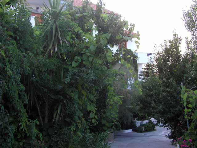 agios-zafiria-4.jpg